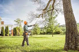 Best Seasonal Cleanup (Spring/Fall)  in North Hornell, NY
